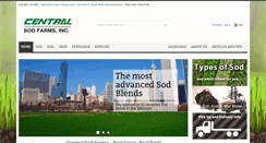 Desktop Screenshot of centralsodil.com